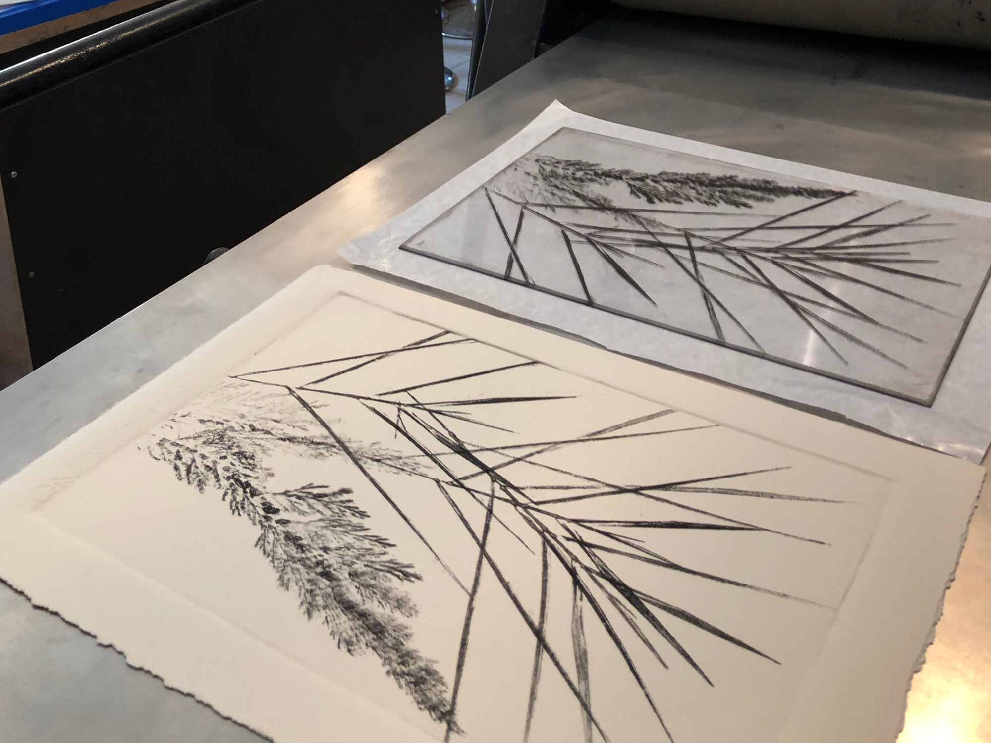 the-art-of-the-monoprint-is-revealed